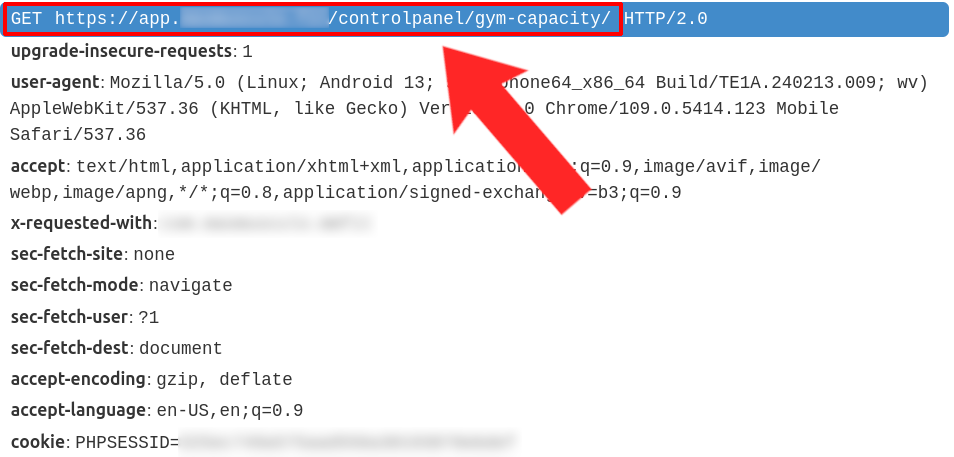 Screenshot from mitmproxy showing the details of the request, including the endpoint's URL